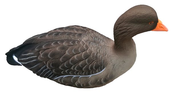 Realistisches Final Approach Lockvogel-Set Graugans – 6 beflockte Gänse für erfolgreiche Lockjagd