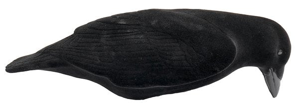 Realistisches Final Approach Lockkrähen-Set: 3 beflockte XL-Lockvögel für effektive Jagd