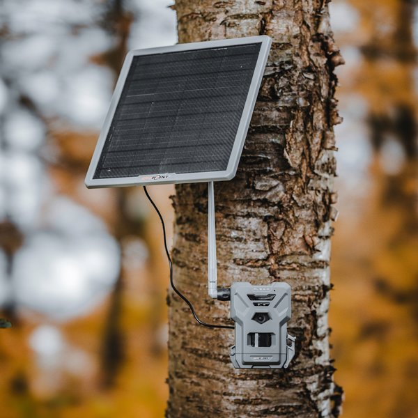 Spypoint Flex-M Wildkamera Set mit Solarpanel: 28MP, 720p Video, Mobilfunk