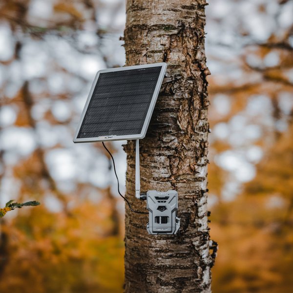 Spypoint Flex-M Wildkamera Set mit Solarpanel: 28MP, 720p Video, Mobilfunk