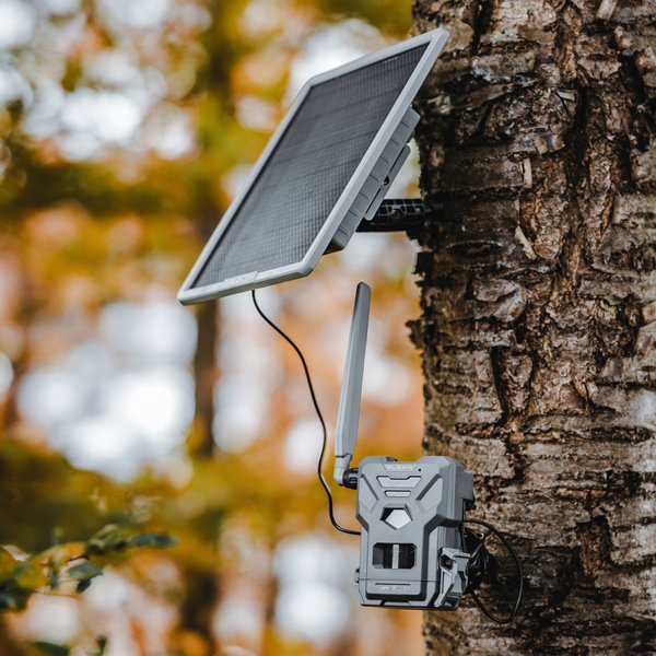 Spypoint Flex-M Wildkamera Set mit Solarpanel: 28MP, 720p Video, Mobilfunk