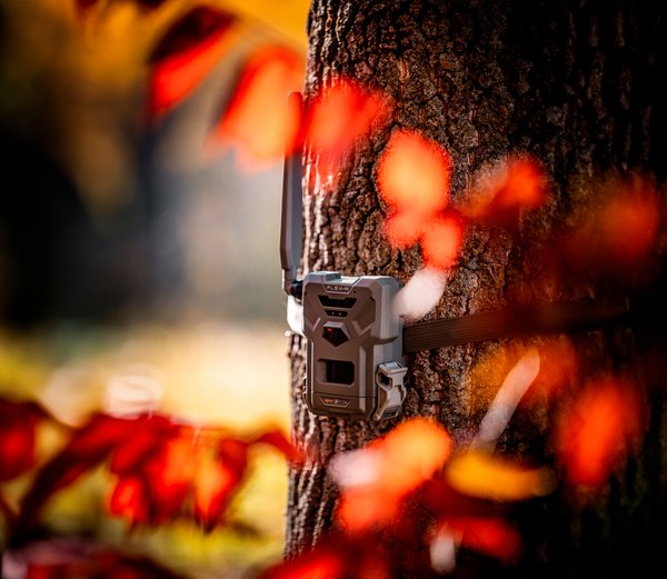 Spypoint Wildkamera Flex-M