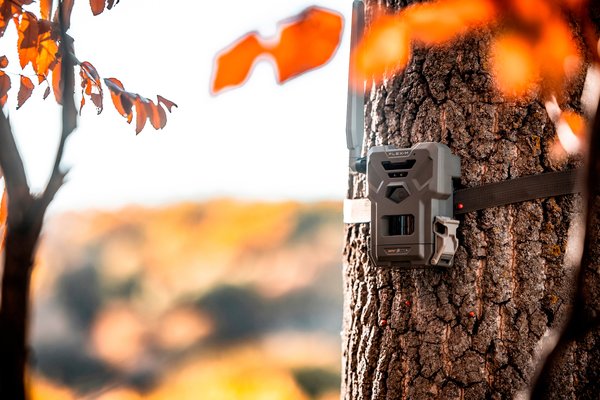 Spypoint Wildkamera Flex-M