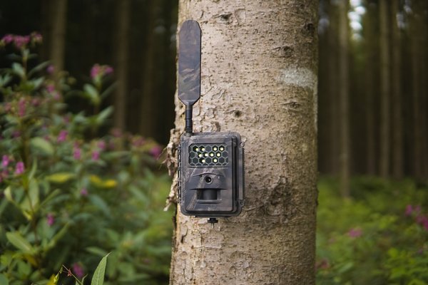 Seissiger Wildkamera Special-Cam LTE Weißblitz Supersim-Edition
