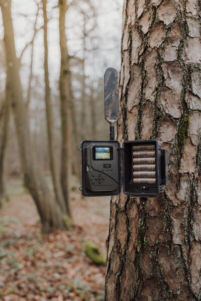 Seissiger Wildkamera Pro-Cam LTE Supersim-Edition