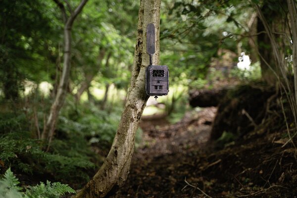 Seissiger Wildkamera Base-Cam LTE Supersim-Edition
