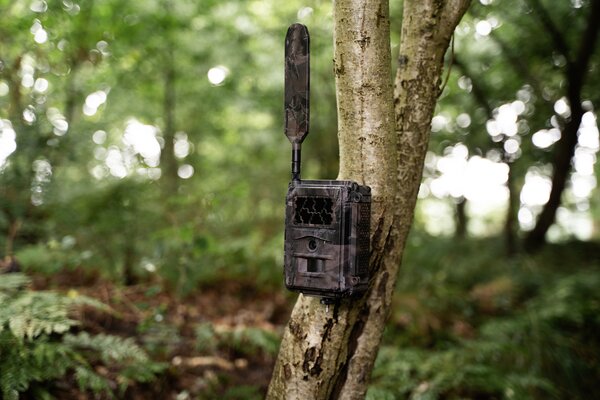 Seissiger Wildkamera Base-Cam LTE Supersim-Edition