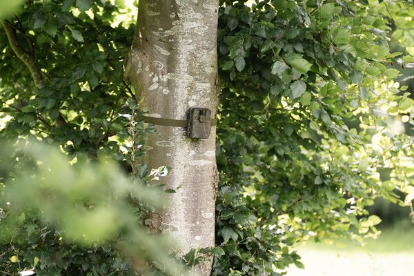 Seissiger Wildkamera Mini-Cam