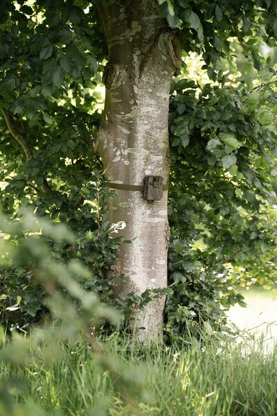 Seissiger Wildkamera Mini-Cam