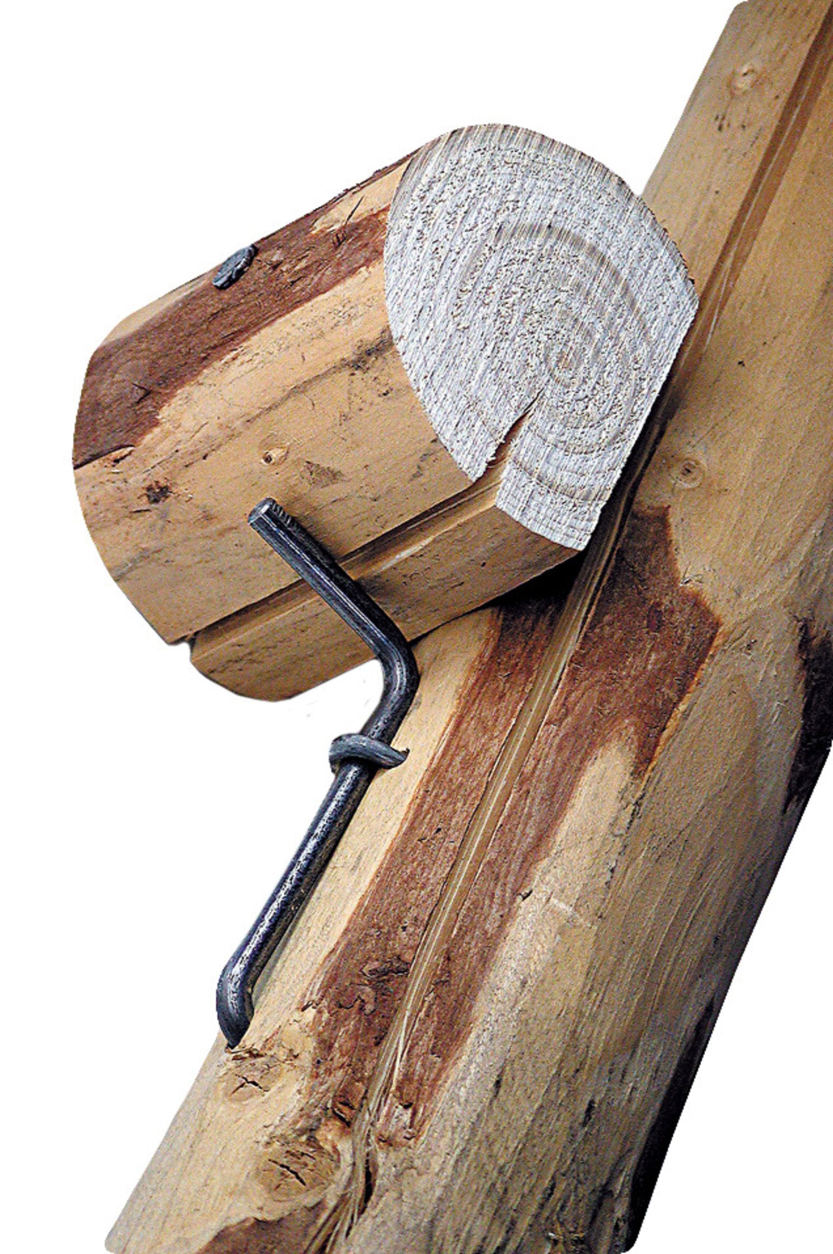 Vario Sprossensicherung für Hochsitze: Korrosionsgeschützt, Wiederverwendbar, BG-Zugelassen, 50er-Karton