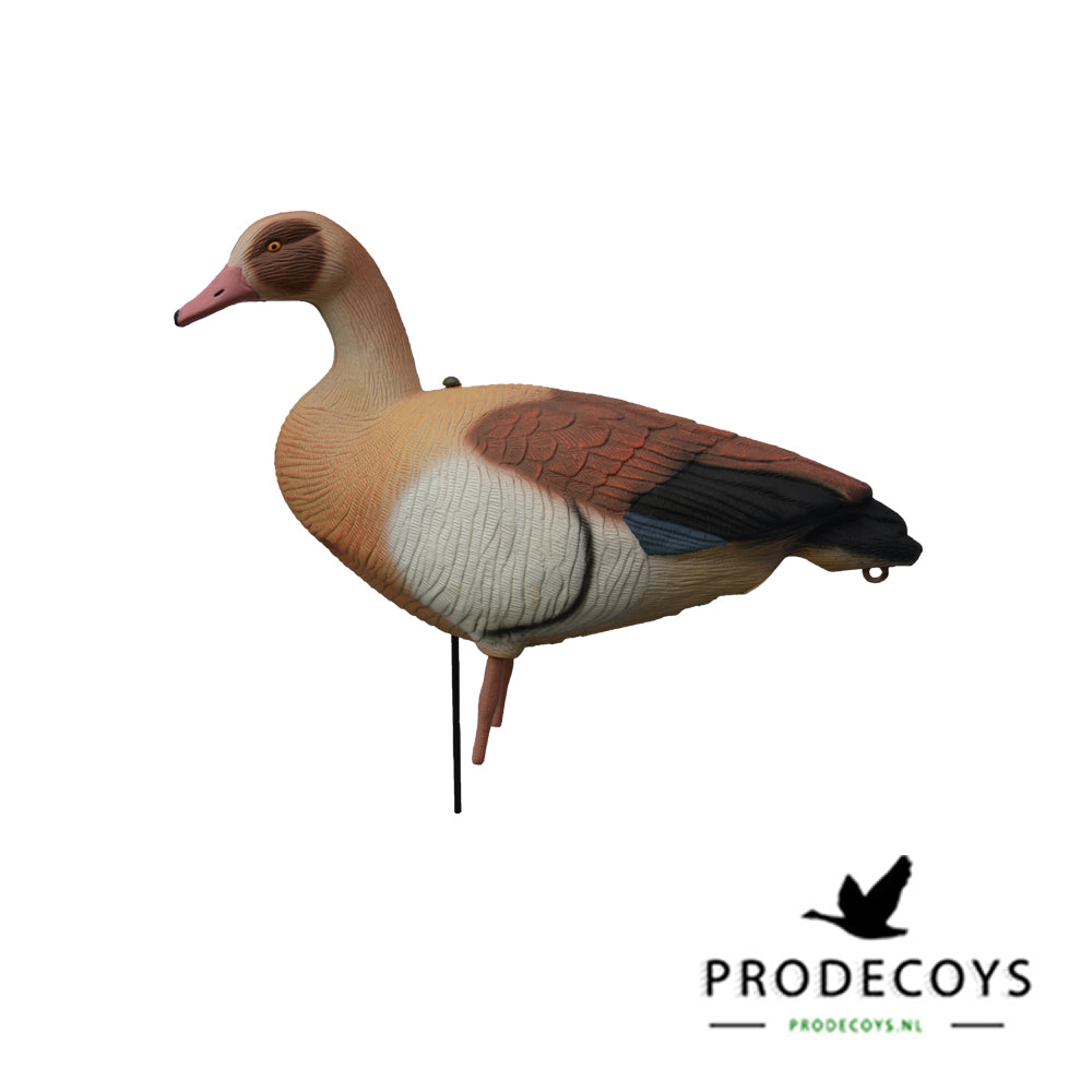 Premium Nilgans Lockgänse Set 12 Stück | Realistische Flugwild Attrappen für erfolgreiche Jagd