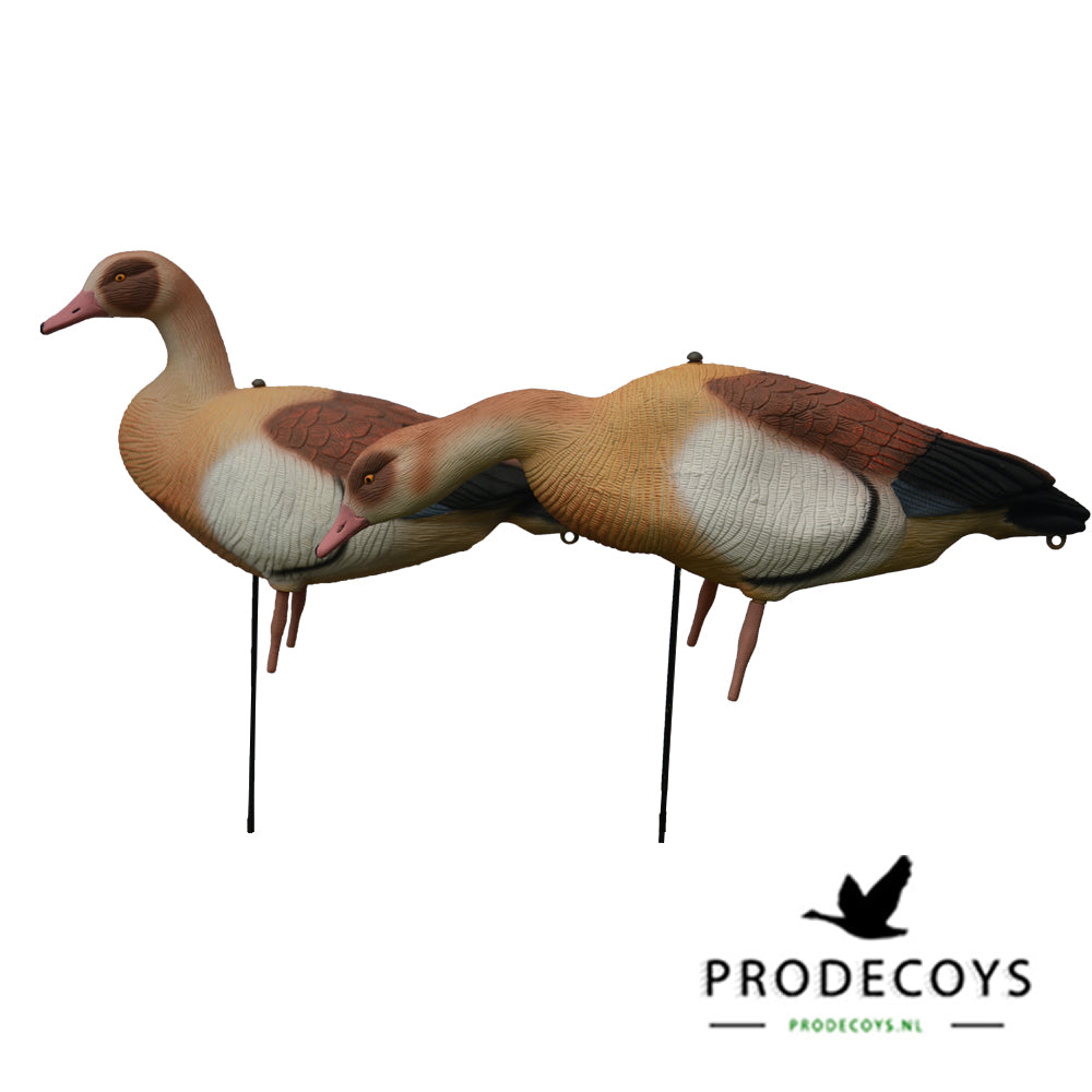 Premium Nilgans Lockgänse Set: 6 Ultra-Realistische Vollkörper für Erfolgreiche Jagd