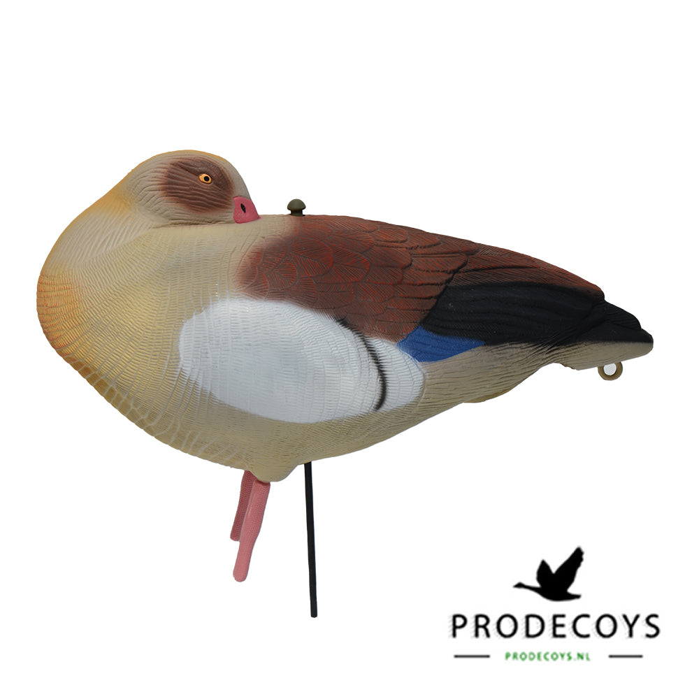 Premium Nilgans Lockgänse Set: 6 Ultra-Realistische Vollkörper für Erfolgreiche Jagd