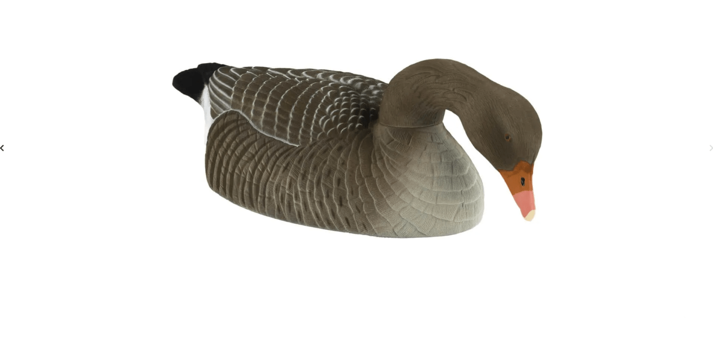 Realistische Beflockte Graugans Lockgänse Halbschalen Set – 12 Stück Jagd