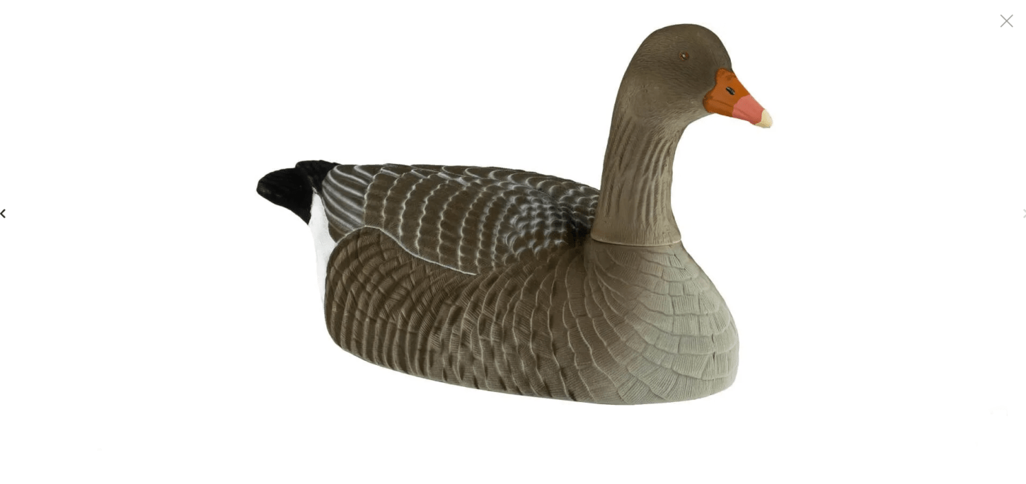 Realistische Beflockte Graugans Lockgänse Halbschalen Set – 12 Stück Jagd