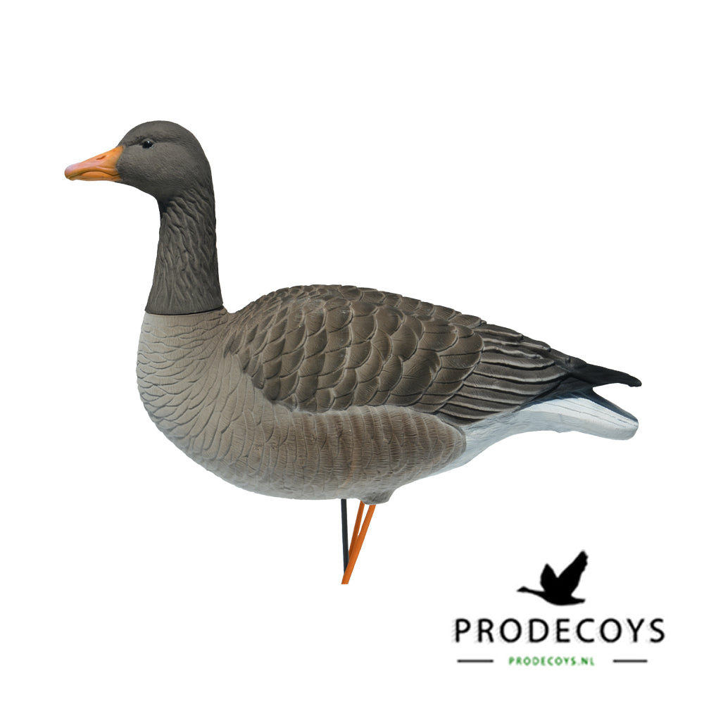 Elite Graugans Lockvögel Set: 6 beflockte, realistische Gänse für erfolgreiche Jagd