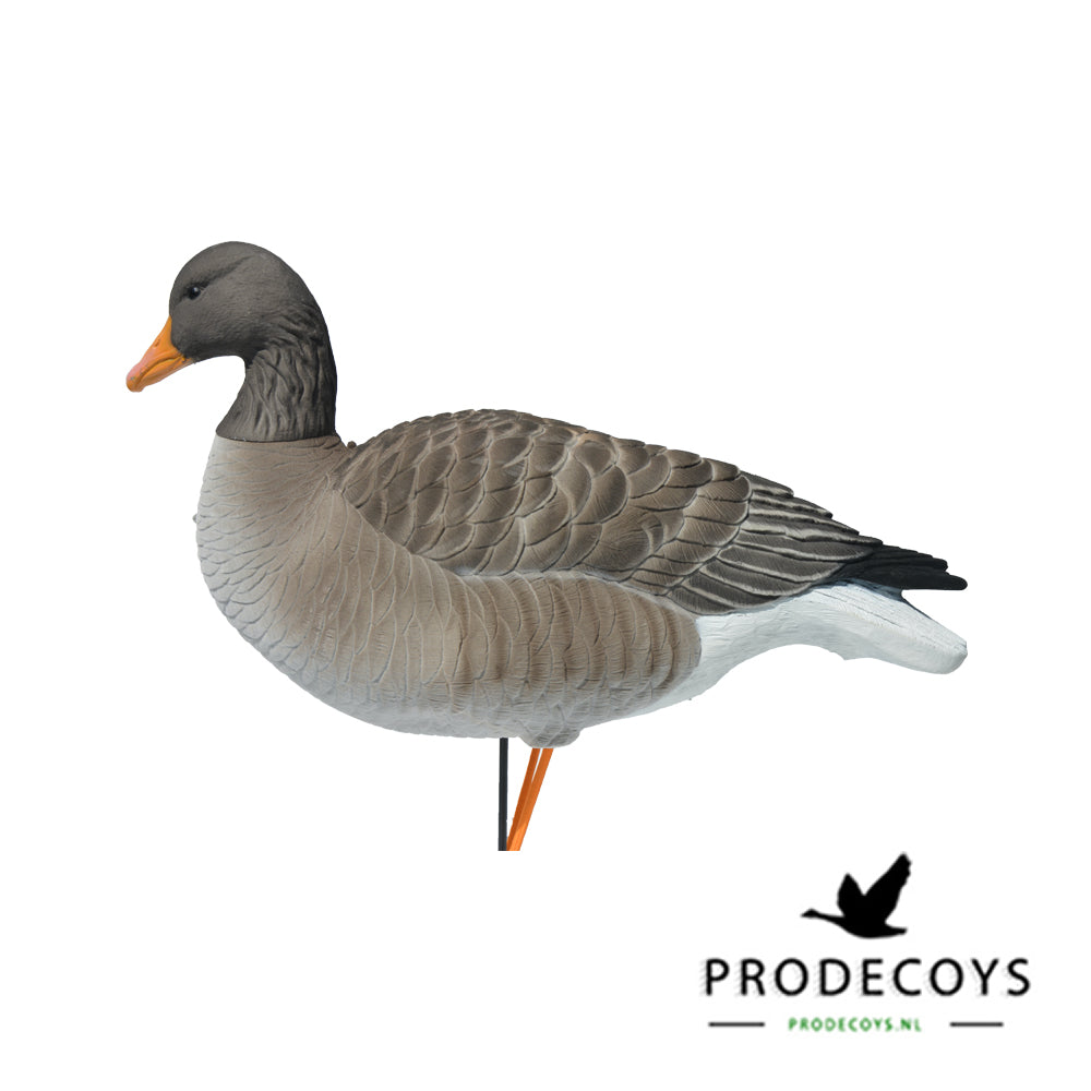 Elite Graugans Lockvögel Set: 6 beflockte, realistische Gänse für erfolgreiche Jagd