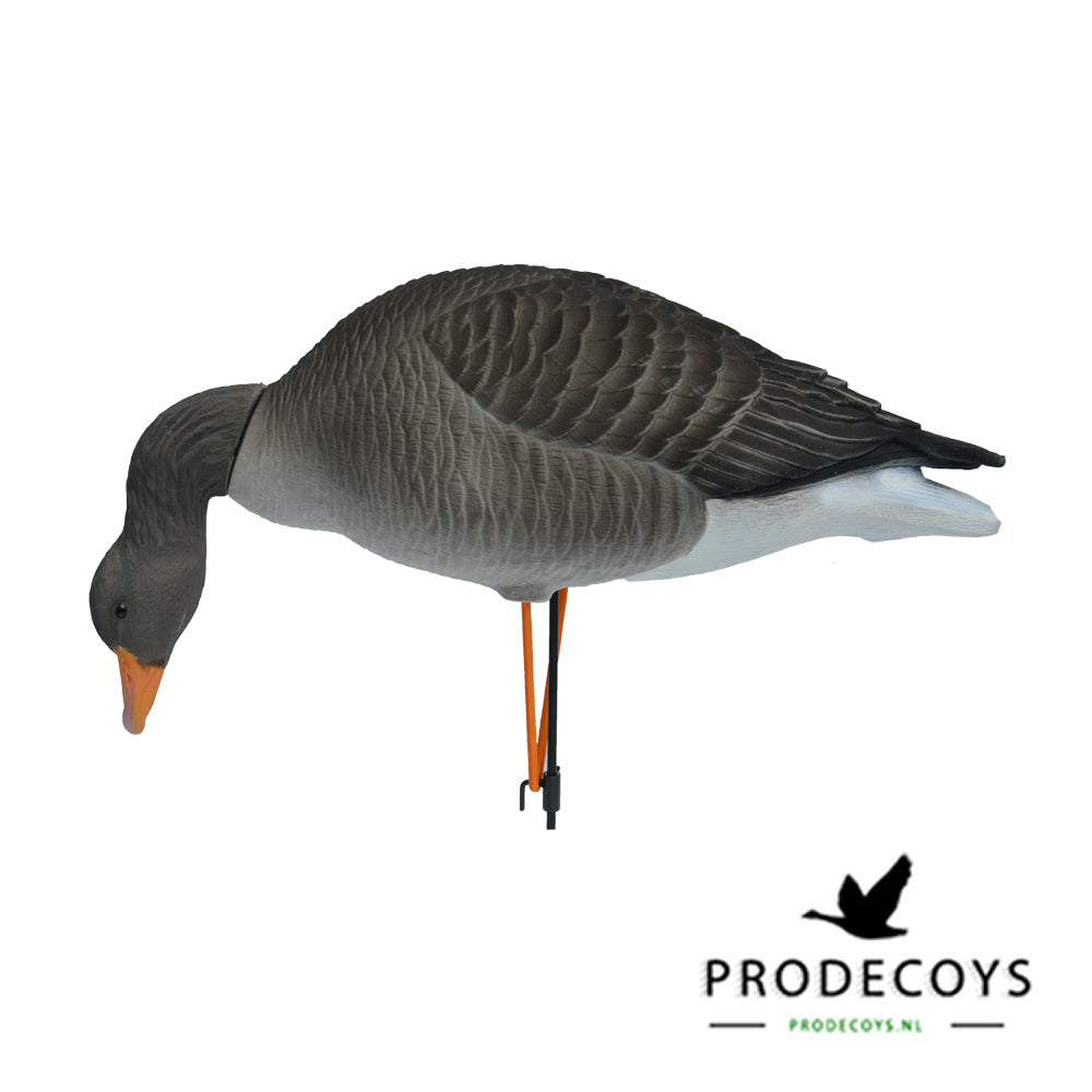 Elite Graugans Lockvögel Set: 6 beflockte, realistische Gänse für erfolgreiche Jagd