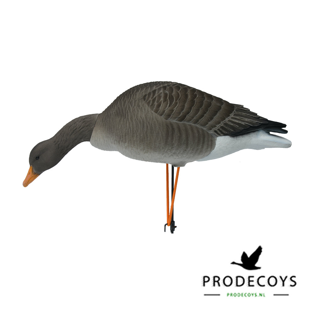 Elite Graugans Lockvögel Set: 6 beflockte, realistische Gänse für erfolgreiche Jagd