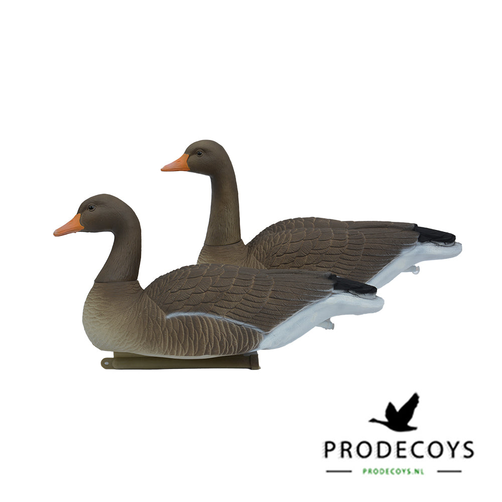 Lebensechte Graugans Lockvögel Schwimmer Vollkörper Set 6 Stück für die Jagd