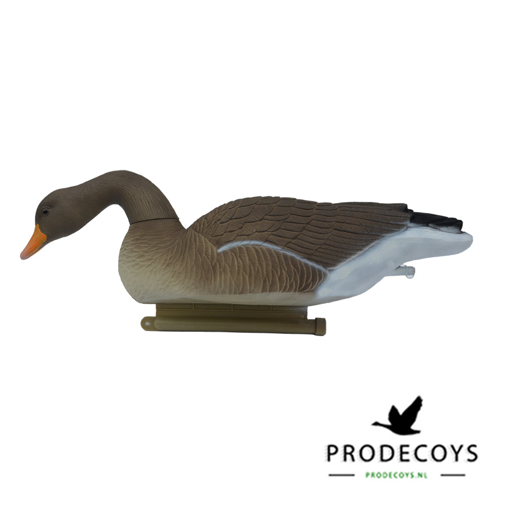 Lebensechte Graugans Lockvögel Schwimmer Vollkörper Set 6 Stück für die Jagd