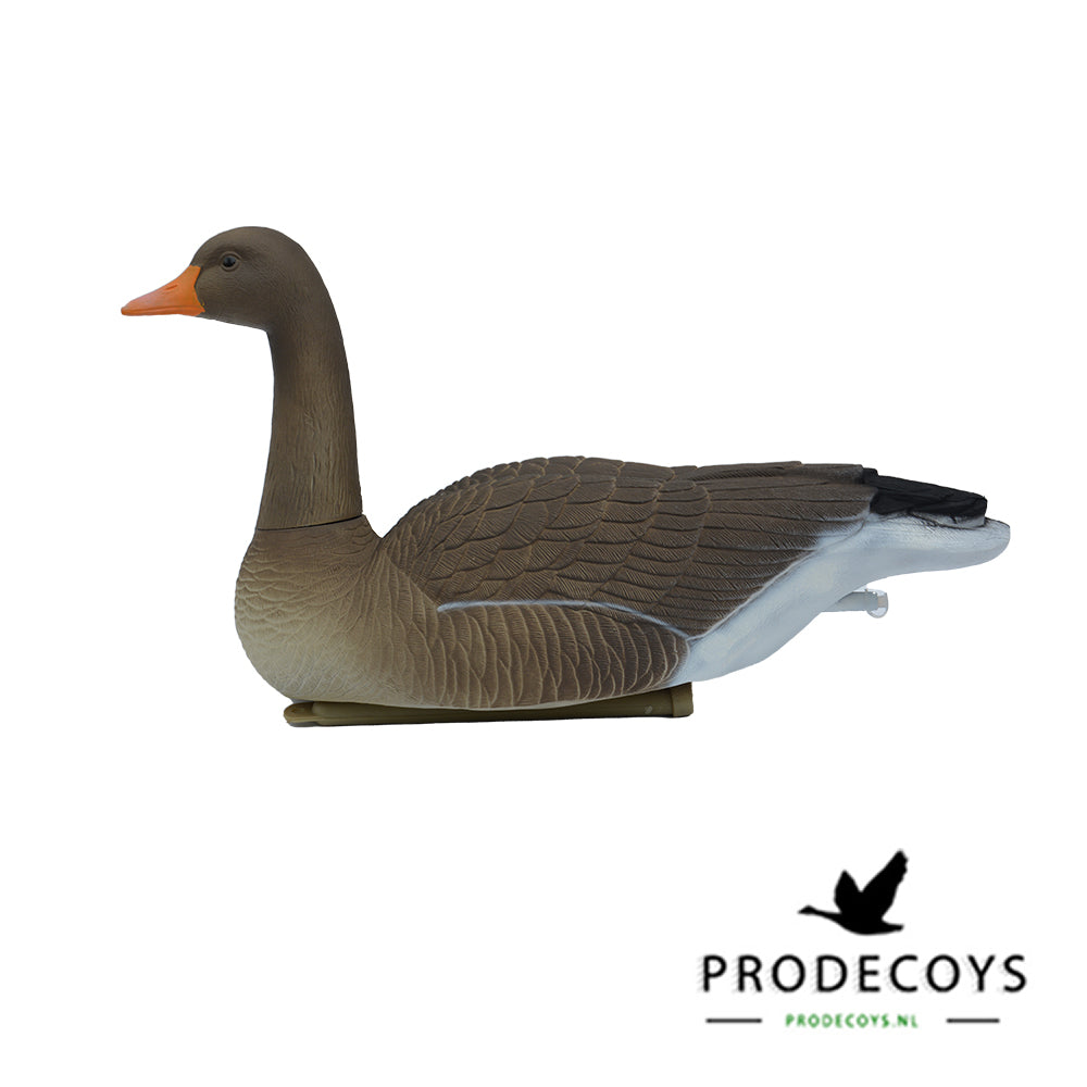 Lebensechte Graugans Lockvögel Schwimmer Vollkörper Set 6 Stück für die Jagd