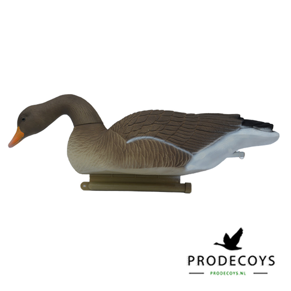 Lebensechte Graugans Lockvögel Schwimmer Vollkörper Set 6 Stück für die Jagd