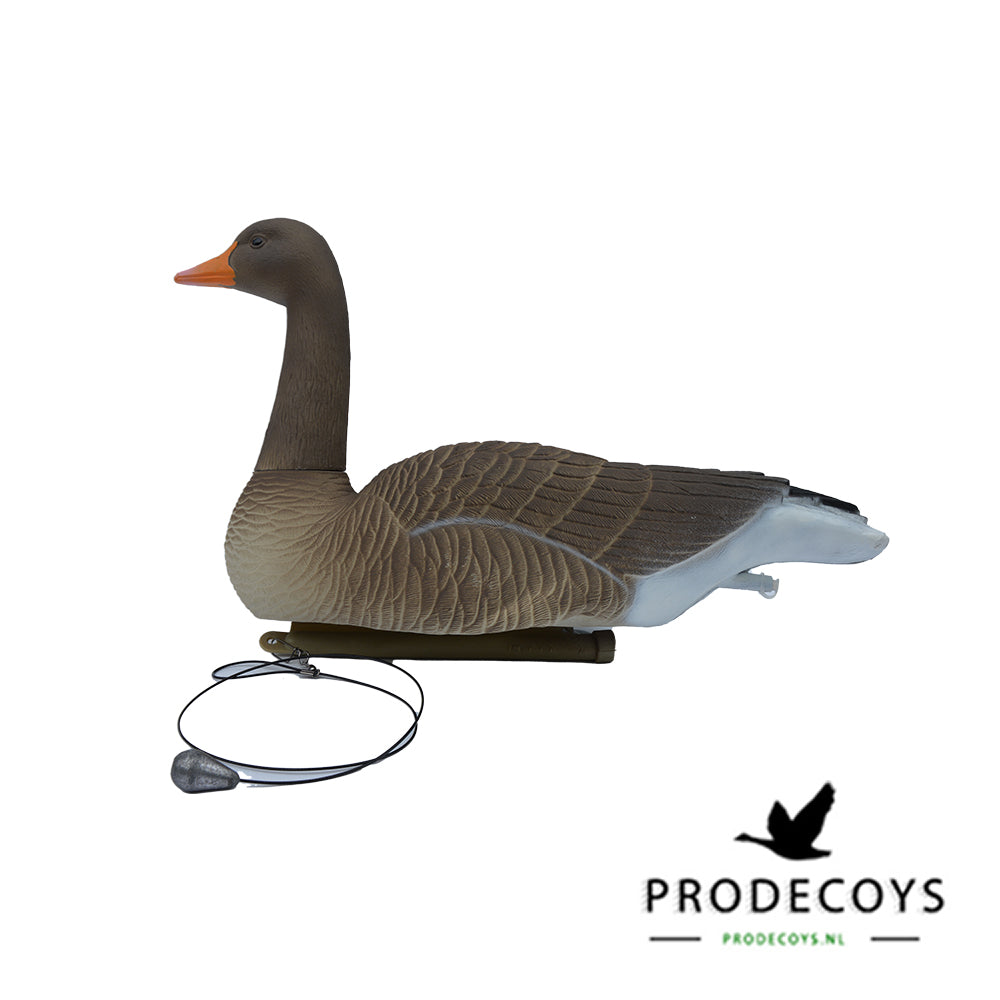 Lebensechte Graugans Lockvögel Schwimmer Vollkörper Set 6 Stück für die Jagd