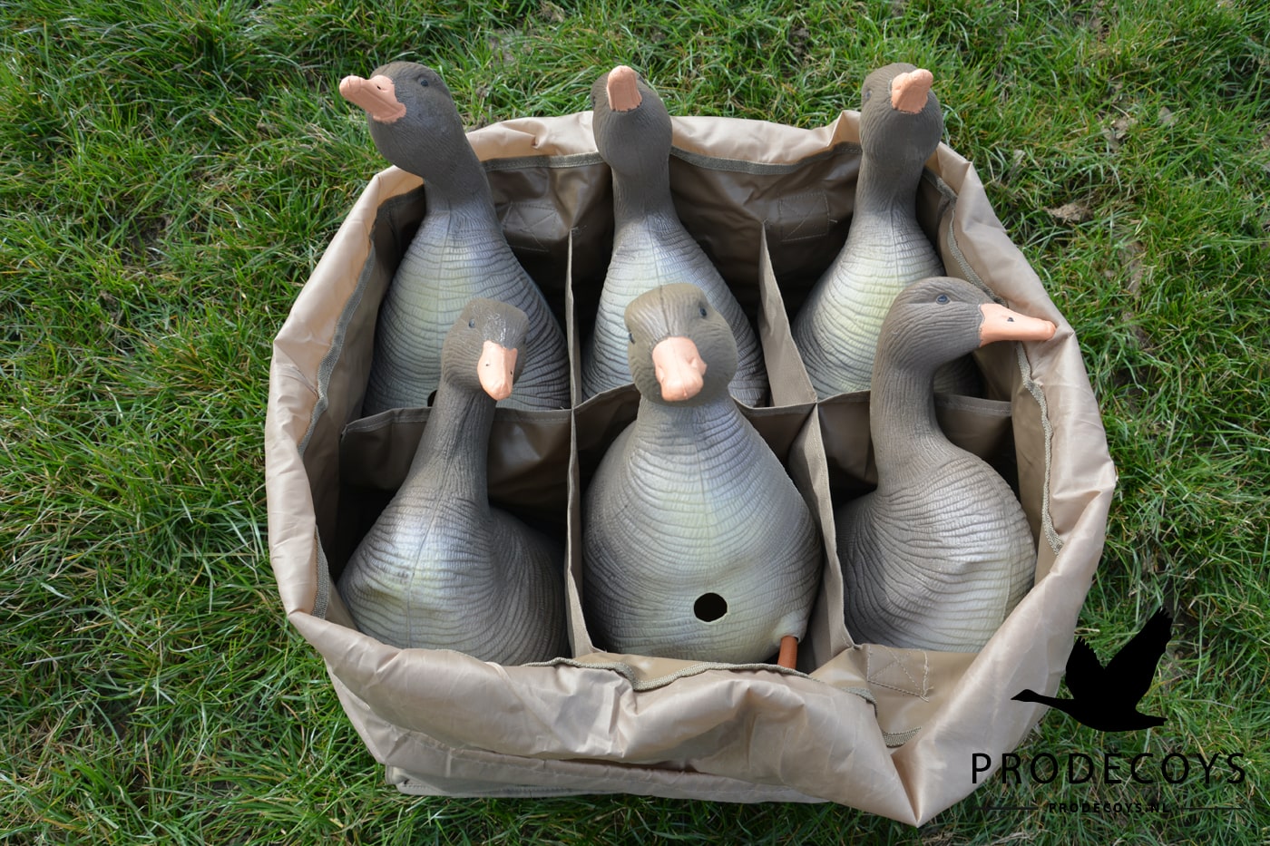 Realistisches beflocktes Graugans Lockvögel Set – 6 Stück für erfolgreiche Gänsejagd