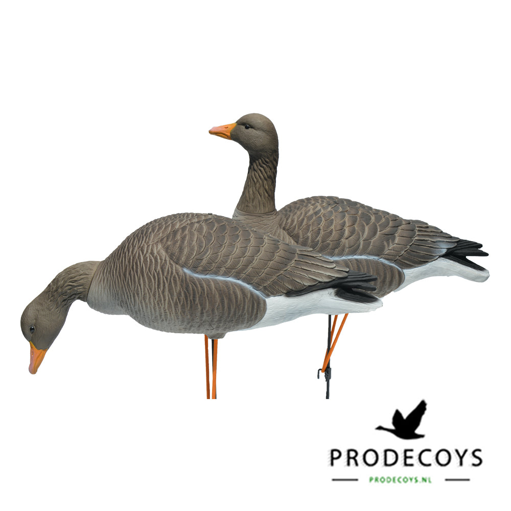 Elite Serie Graugans Lockvögel Set: 6 Naturgetreue, Flexible Gänse mit Drehköpfen