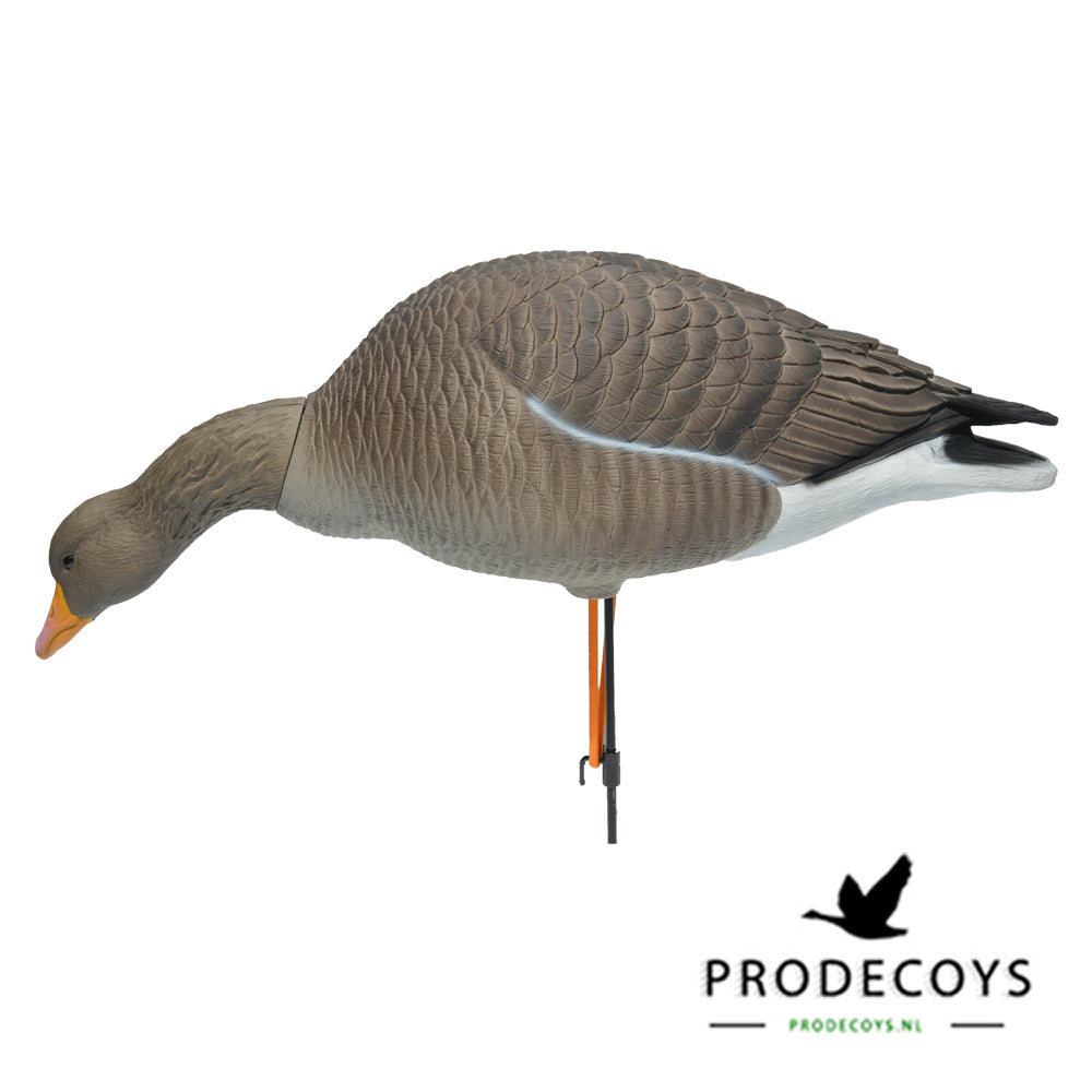 Elite Serie Graugans Lockvögel Set: 6 Naturgetreue, Flexible Gänse mit Drehköpfen