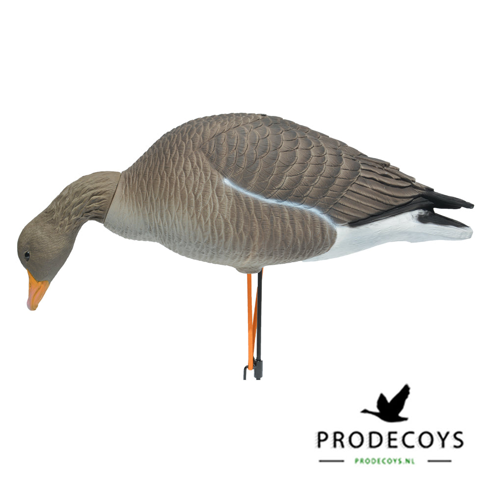 Prodecoys Elite Serie Graugans Lockgänse Set – 6 naturgetreue Lockvögel mit Tasche