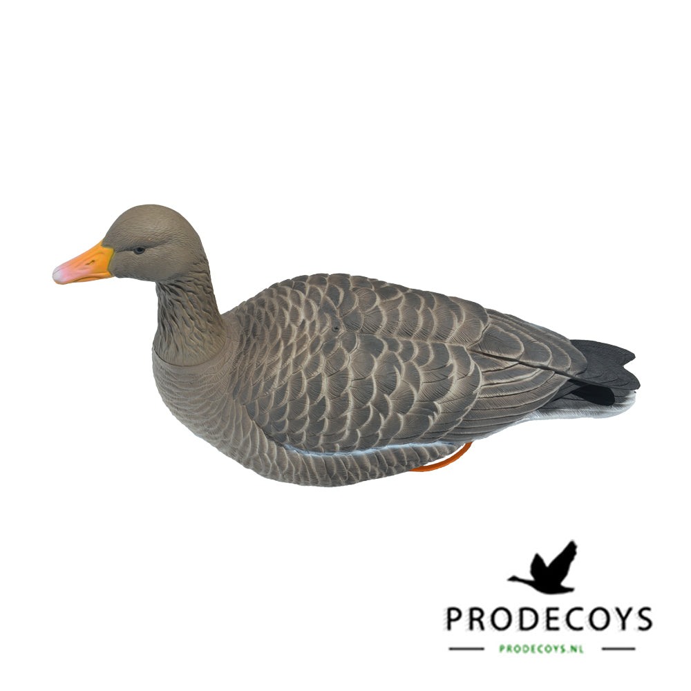 Prodecoys Elite Serie Graugans Lockgänse Set – 6 naturgetreue Lockvögel mit Tasche