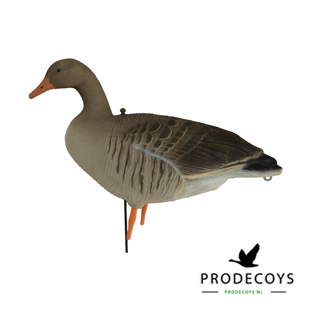 Realistisches Graugans Lockgänse Set – 6 Stück für Erfolgreiche Gänsejagd