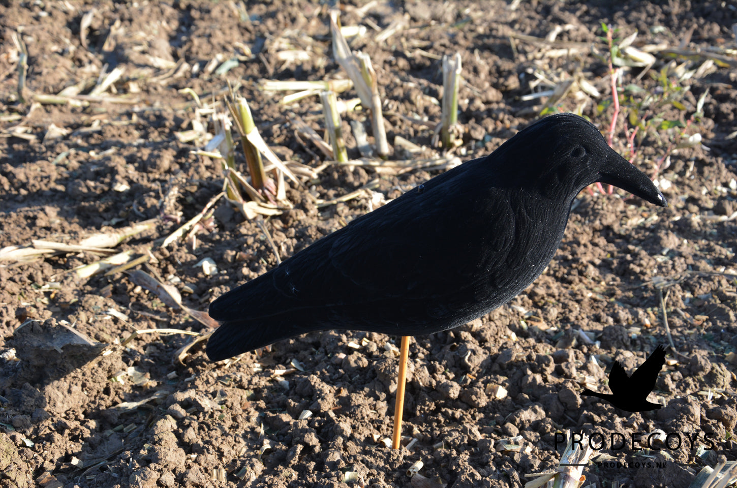 Premium Beflockte Magnum Lockkrähe Wachend 50cm – Realistische Windbewegung für Effektive Krähenjagd