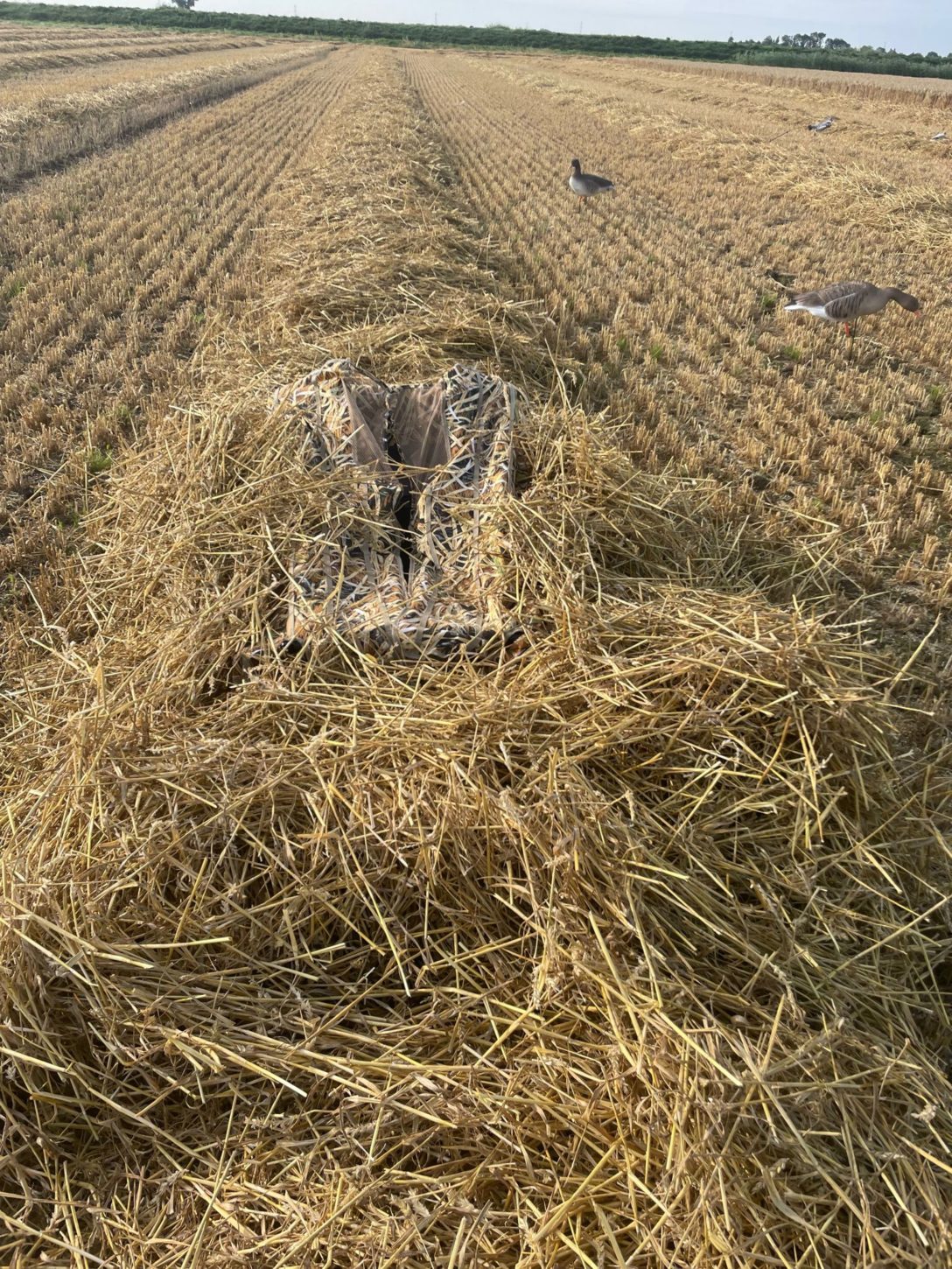 Premium Gänseliegen Tarnzelt – Ultimatives Wetland Camouflage Blind für Entenjagd