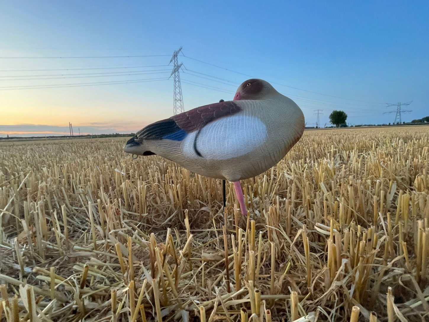 Premium Nilgans Lockgänse Set 12 Stück | Realistische Flugwild Attrappen für erfolgreiche Jagd
