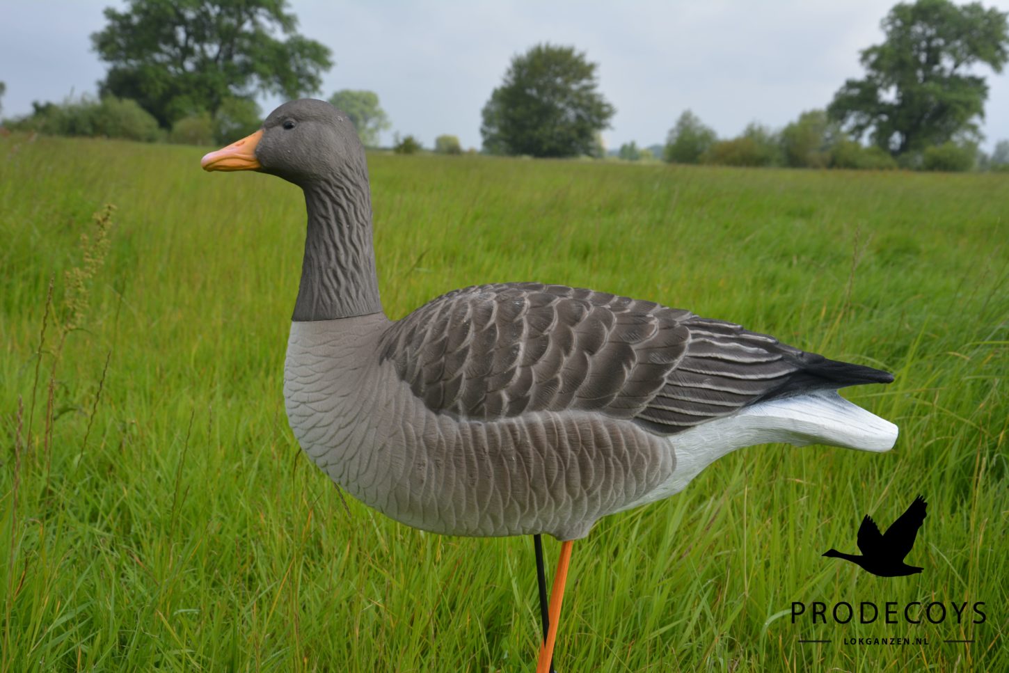 Elite Graugans Lockvögel Set: 6 beflockte, realistische Gänse für erfolgreiche Jagd