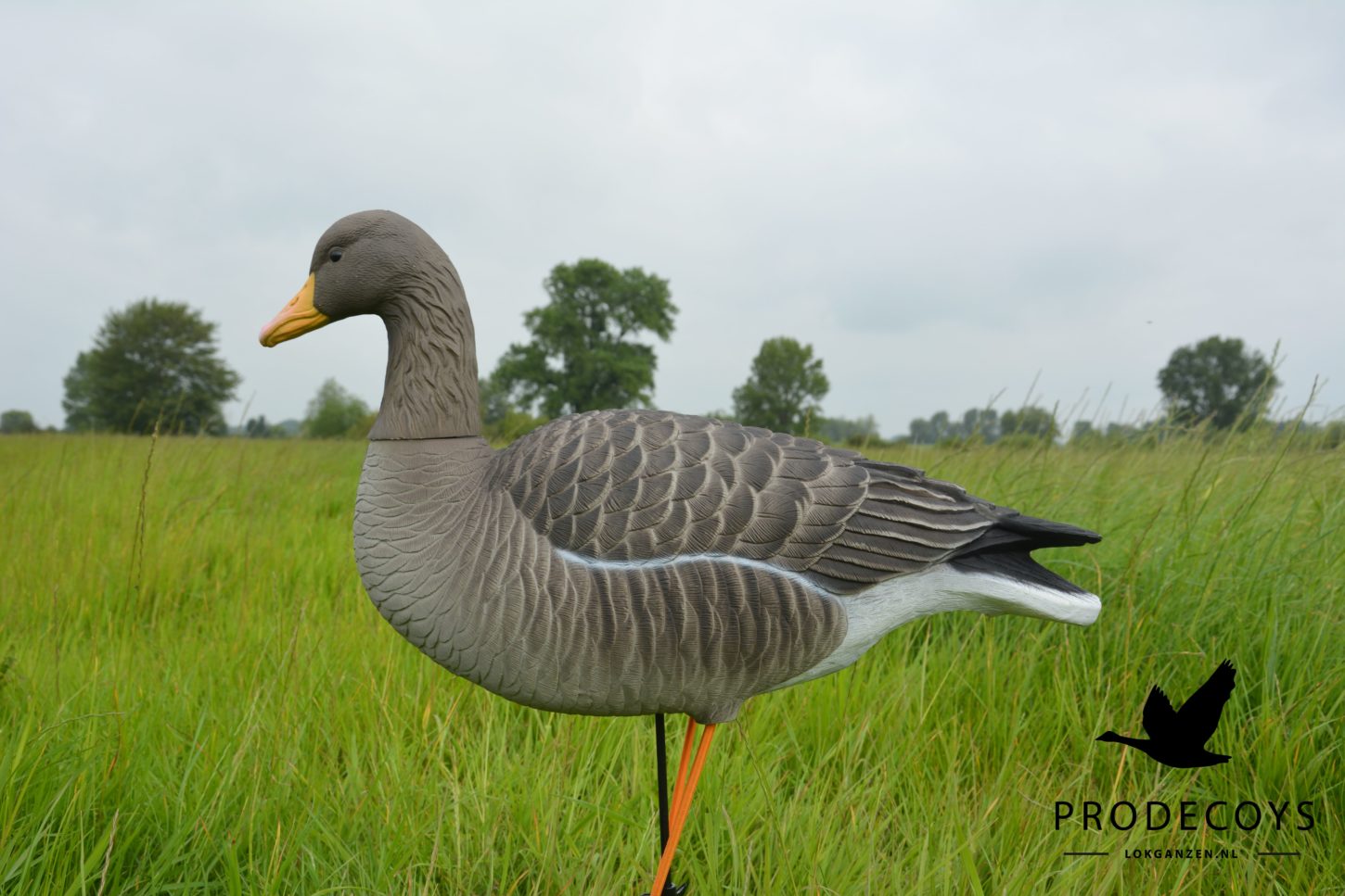 Elite Serie Graugans Lockvögel Set: 6 Naturgetreue, Flexible Gänse mit Drehköpfen