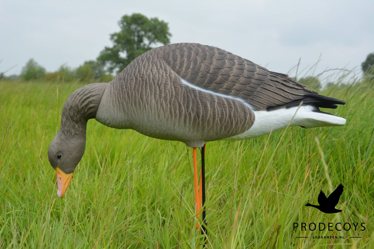 Elite Serie Graugans Lockvögel Set: 6 Naturgetreue, Flexible Gänse mit Drehköpfen