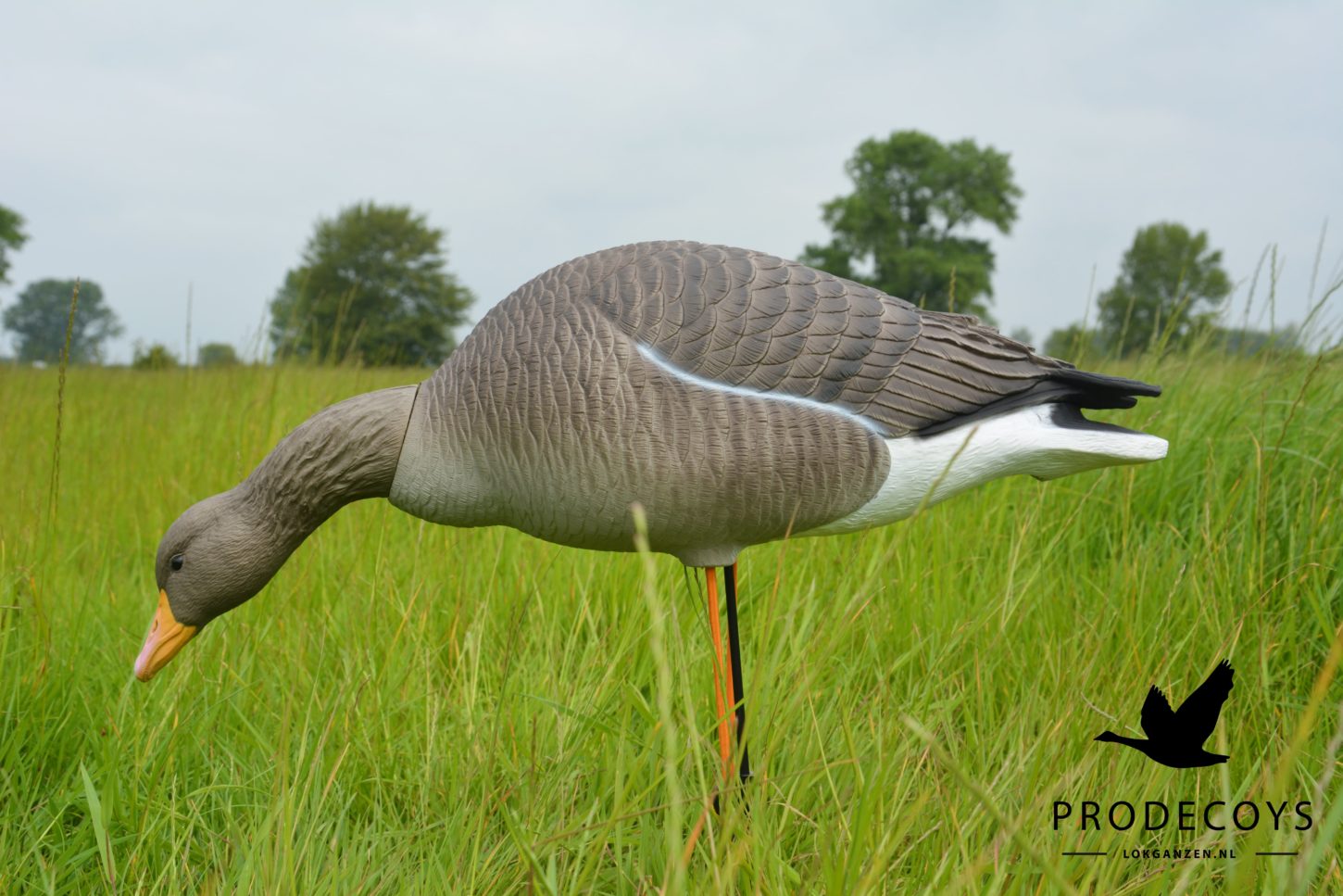 Elite Serie Graugans Lockvögel Set: 6 Naturgetreue, Flexible Gänse mit Drehköpfen
