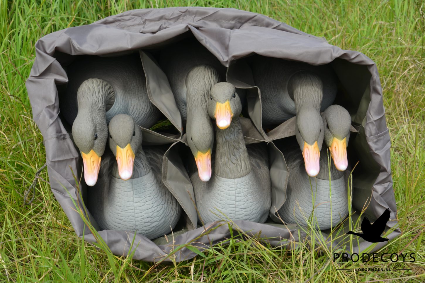 Prodecoys Elite Serie Graugans Lockgänse Set – 6 naturgetreue Lockvögel mit Tasche